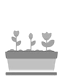 jardinera